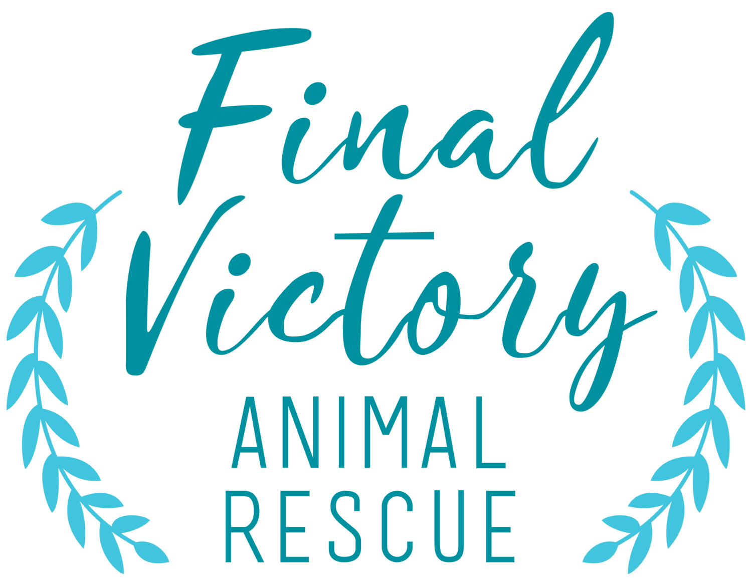 Phase One is a Proud Sponsor of Final Victory Animal Rescue